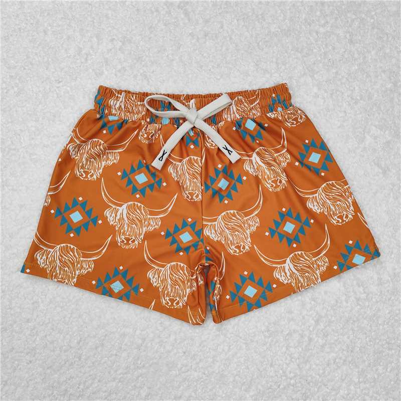 RTS NO MOQ Baby Boys Summer pants S0463 Western Cow Aztec Trunks Bottoms Swimsuits